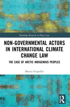 Marzia Scopelliti - Non-Governmental Actors in International Climate Change Law