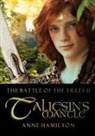 Anne Hamilton - Taliesin's Mantle