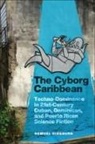 Samuel Ginsburg - Cyborg Caribbean