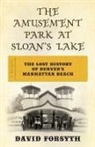 David Forsyth, Forsyth David - Amusement Park At Sloan''s Lake