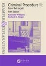 Richard G Singer, Richard G. Singer, Kenneth Williams - Examples & Explanations for Criminal Procedure II