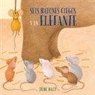 Jude Daly - Seis Ratones Ciegos Y Un Elefante