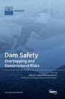 Dam Safety