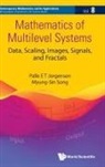 Palle Jorgensen, Jorgensen Palle, Myung-Sin Song, Palle E T Jorgensen, Myung-Sin Song Palle E T Jorgensen, Myung-sin Song - Mathematics Of Multilevel Systems: Data, Scaling, Images, Signals, And Fractals