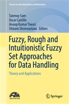 Oscar Castillo, Anoop Kumar Tiwari et al, Shivam Shreevastava, Tanmoy Som, Anoop Kumar Tiwari - Fuzzy, Rough and Intuitionistic Fuzzy Set Approaches for Data Handling