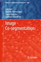 Sayan Banerjee, Sayan et Banerjee, Subhasis Chaudhuri, Avik Hati, Rajbabu Velmurugan - Image Co-segmentation