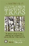 Fi Martynoga - Handbook of Scotland''s Trees