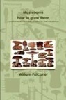 William Falconer - Mushrooms