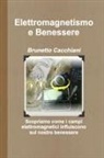 Brunetto Cacchiani - Elettromagnetismo e Benessere