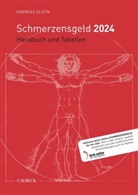 Andreas Slizyk - Schmerzensgeld 2024, m. 1 Buch, m. 1 Online-Zugang