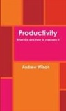 Andrew Wilson - Productivity