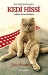 John Bradshaw - Kedi Hissi
