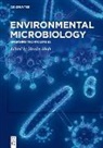 Maulin Shah - Environmental Microbiology