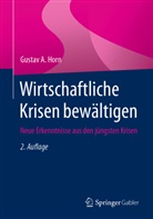 Gustav A Horn, Gustav A. Horn - Wirtschaftliche Krisen bewältigen