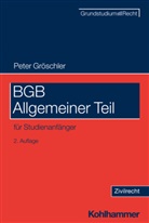 Peter Gröschler, Peter (Prof. Dr.) Gröschler, Jörg Eisele, Heinrich, Bernd Heinrich - BGB Allgemeiner Teil