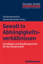 Rudolf Bieker, Claudia Bundschuh, Sandra Glammeier - Gewalt in Abhängigkeitsverhältnissen