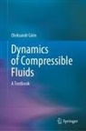 Oleksandr Girin - Dynamics of Compressible Fluids