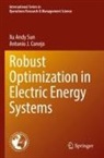 Antonio J Conejo, Antonio J. Conejo, Xu Andy Sun - Robust Optimization in Electric Energy Systems