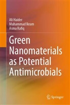 Ali Haider, Muhammad Ikram, Asma Rafiq - Green Nanomaterials as Potential Antimicrobials
