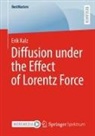 Erik Kalz - Diffusion under the Effect of Lorentz Force