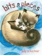 Judy Schachner - Bits & Pieces