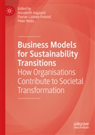 Annabeth Aagaard, Florian Lüdeke-Freund, Peter Wells - Business Models for Sustainability Transitions