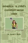 David Wolfe - America