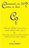 Elodie Lambert - Comment on dit? Come si dice? - Guida pratica all'utilizzo di numerose locuzioni familiari della lingua italiana e francese. Guide pratique pour l'usage de nombreuses locutions familières des langues italienne et française