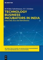 M H Bala Subrahmanya, H S Krishna - Technology Business Incubators in India