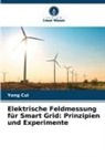 Yong Cui - Elektrische Feldmessung für Smart Grid: Prinzipien und Experimente