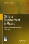 Armelle Gouritin - Climate Displacement in Mexico