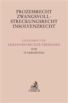 Christian Berger, Burkhard Boemke, Hans Friedhelm Gaul u a - Prozessrecht, Zwangsvollstreckungsrecht, Insolvenzrecht