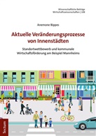Anemone Bippes - Aktuelle Ver&auml;nderungsprozesse von Innenst&auml;dten