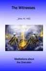 John Hill - The Witnesses