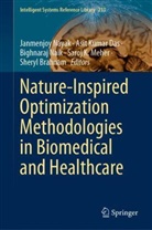 Sheryl Brahnam, Asit Kumar Das, Asit Kumar Das, Saroj K. Meher, Bighnaraj Naik, Bighnaraj Naik et al... - Nature-Inspired Optimization Methodologies in Biomedical and Healthcare