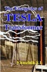 Solomon I. Khmelnik - The Energetics of Tesla transformers