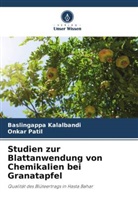Baslingappa Kalalbandi, Onkar Patil - Studien zur Blattanwendung von Chemikalien bei Granatapfel