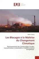 Odelin Casséus - Les Blocages à la Maîtrise du Changement Climatique