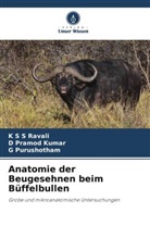 D Pramod Kumar, D. Pramod Kumar, G Purushotham, G. Purushotham, K S S Ravali - Anatomie der Beugesehnen beim Büffelbullen