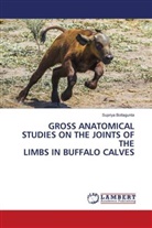 Supriya Botlagunta - GROSS ANATOMICAL STUDIES ON THE JOINTS OF THE LIMBS IN BUFFALO CALVES
