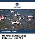 Muhammed Anwar - Multiresolution Edge Detection mit PSO