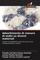 Yinady Yarime Castillo Lazarin, Leonor Muñoz Ramirez, Claudia Verónica Reyes Guzmán - Adsorbimento di cianuro di sodio su diversi materiali