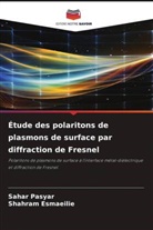 Shahram Esmaeilie, Sahar Pasyar - Étude des polaritons de plasmons de surface par diffraction de Fresnel