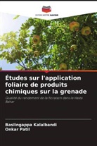 Baslingappa Kalalbandi, Onkar Patil - Études sur l'application foliaire de produits chimiques sur la grenade