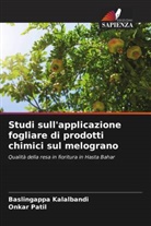 Baslingappa Kalalbandi, Onkar Patil - Studi sull'applicazione fogliare di prodotti chimici sul melograno