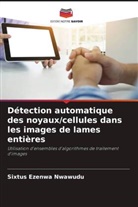 Sixtus Ezenwa Nwawudu - Détection automatique des noyaux/cellules dans les images de lames entières