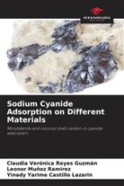 Yinady Yarime Castillo Lazarin, Leonor Muñoz Ramirez, Claudia Verónica Reyes Guzmán - Sodium Cyanide Adsorption on Different Materials