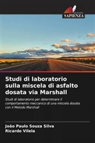 João Paulo Souza Silva, Ricardo Vilela - Studi di laboratorio sulla miscela di asfalto dosata via Marshall