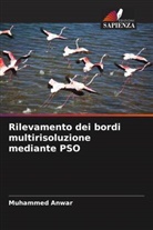 Muhammed Anwar - Rilevamento dei bordi multirisoluzione mediante PSO