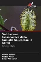 Emad Al Sherief, Wafaa Amer, Walaa Hassan - Valutazione tassonomica della famiglia Salicaceae in Egitto